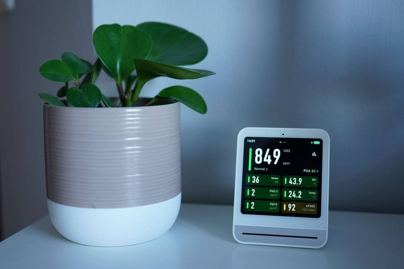 Alexapure Breeze True HEPA Air Purifier Review: Breathe Easier